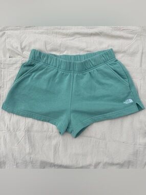 The North Face Mint Green Shorts